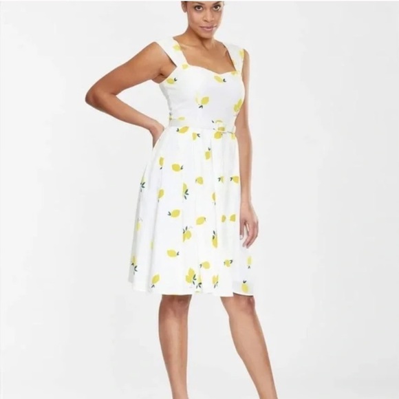 Modcloth Dresses & Skirts - MODCLOTH x COLLECTIF 100% Rayon Jill Lemons Swing Dress, Soft & Flowy! XS, NWT